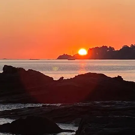 O Cerrulo Centrico بونتيدويمي