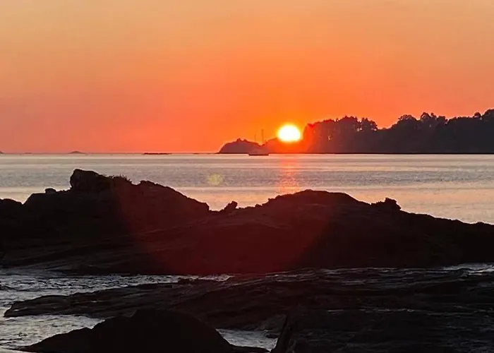 O Cerrulo Centrico بونتيدويمي