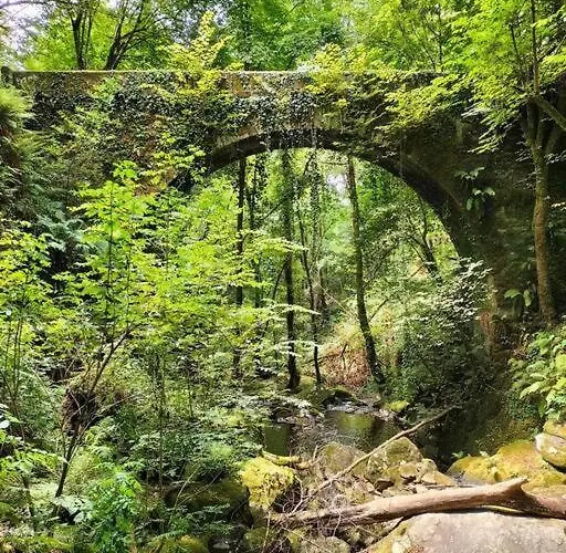 O Cerrulo Centrico * Puentedeume